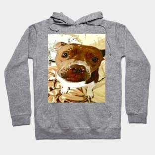 Sweet Pibble Face Hoodie